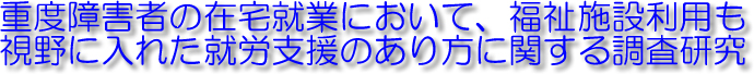 重度障害者の在宅就業において、福祉施策利用も視野に入れた就労支援のあり方に関する調査研究